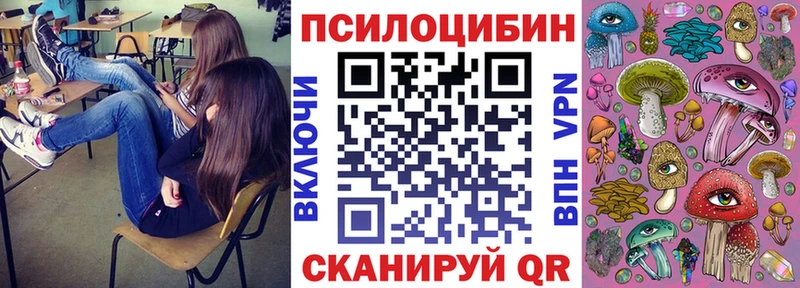 KRAKEN tor  Андреаполь  Псилоцибиновые грибы GOLDEN TEACHER 